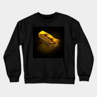 Pogona Crewneck Sweatshirt